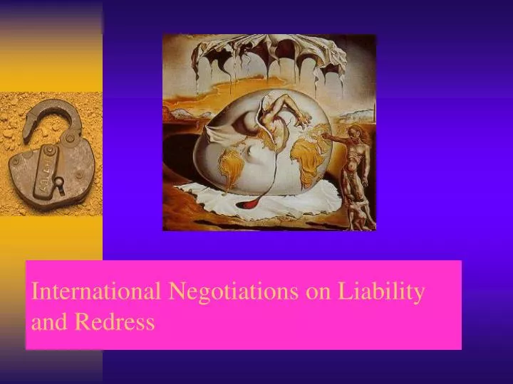 international negotiations on liability and redress