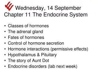 Wednesday, 14 September Chapter 11 The Endocrine System