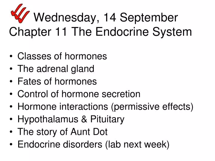 wednesday 14 september chapter 11 the endocrine system