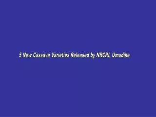 5 New Cassava Varieties Released by NRCRI, Umudike