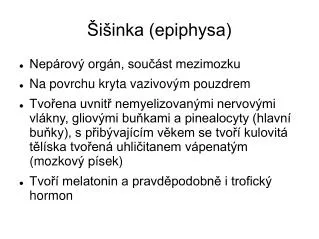 i inka epiphysa
