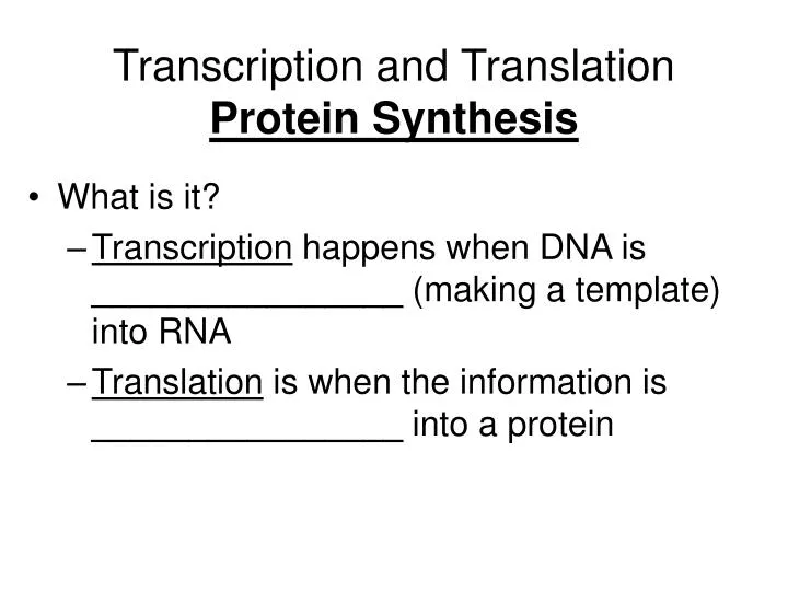 transcription and translation protein synthesis