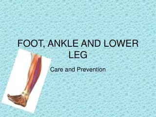 FOOT, ANKLE AND LOWER LEG