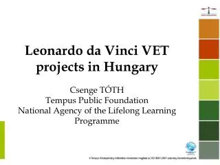 LLP programme Leonardo da Vinci sub-programme