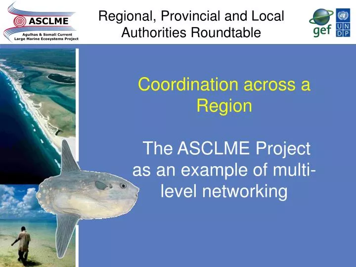 regional provincial and local authorities roundtable