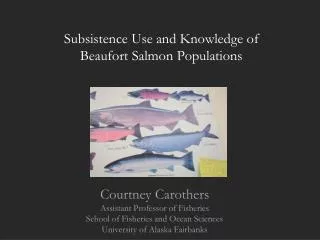 Subsistence Use and Knowledge of Beaufort Salmon Populations