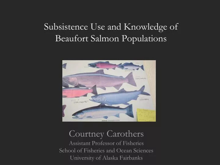 subsistence use and knowledge of beaufort salmon populations