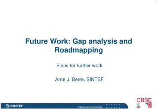 Future Work: Gap analysis and Roadmapping