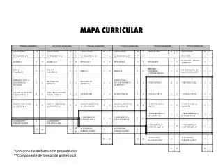 mapa curricular
