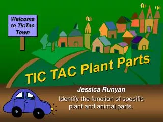 TIC TAC Plant Parts