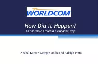How Did it Happen? An Enormous Fraud in a Mundane Way