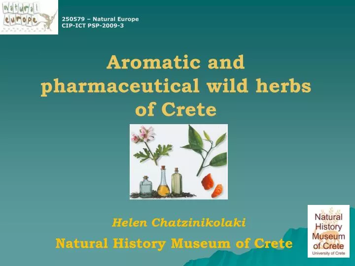 aromatic and pharmaceutical wild herbs of crete