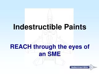 REACH through the eyes of an SME