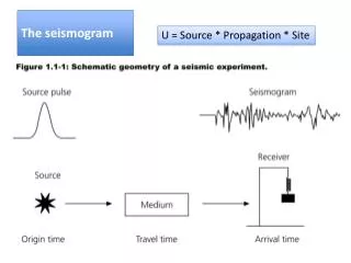 The seismogram