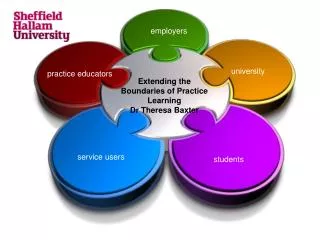 Extending the Boundaries of Practice Learning Dr Theresa Baxter