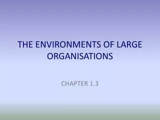 THE ENVIRONMENTS OF LARGE ORGANISATIONS