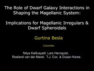 The Role of Dwarf Galaxy Interactions in Shaping the Magellanic System: