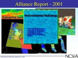 Alliance Report - 2001