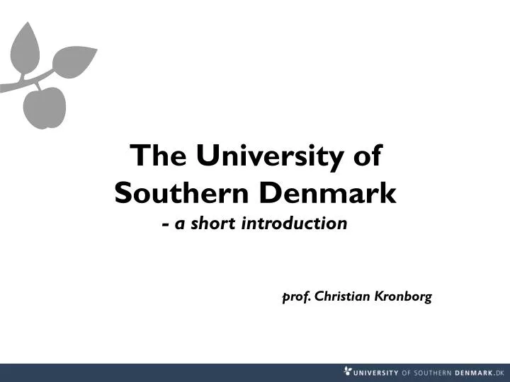 the university of southern denmark a short introduction prof christian kronborg