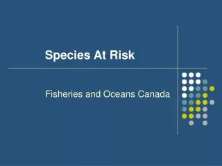 Species At Risk