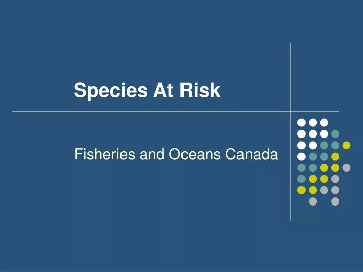 species at risk