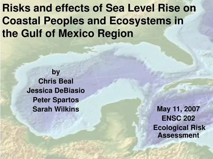 risks and effects of sea level rise on coastal peoples and ecosystems in the gulf of mexico region