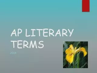 AP LITERARY TERMS