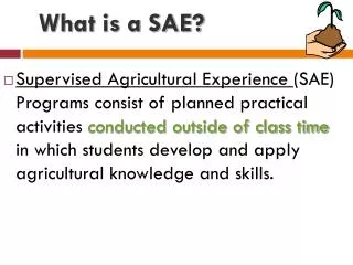 What is a SAE?