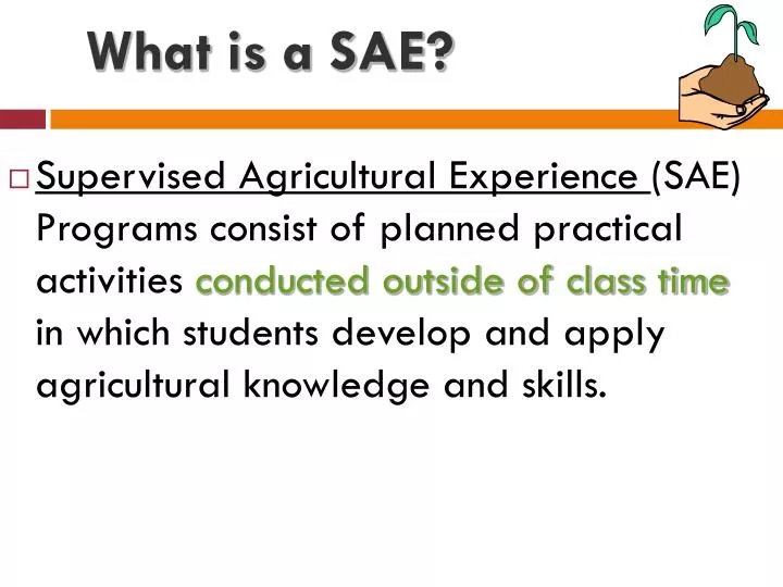 what is a sae
