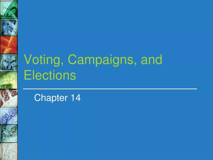 voting campaigns and elections