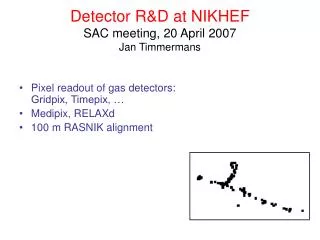 Detector R&amp;D at NIKHEF SAC meeting, 20 April 2007 Jan Timmermans