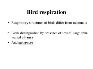 Bird respiration