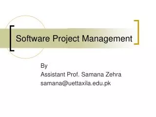 software project management