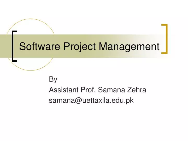 software project management