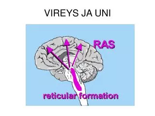 vireys ja uni