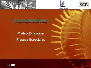 protecci n contra riesgos especiales