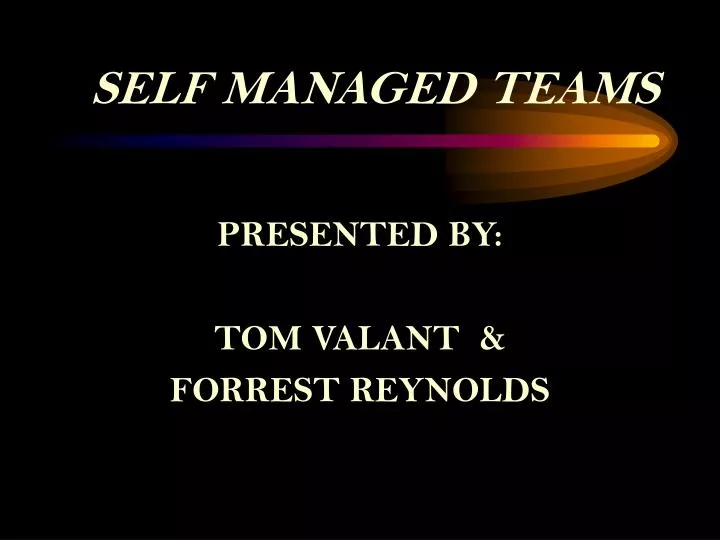 self managed teams