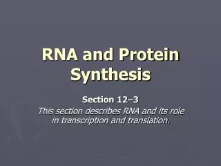 RNA and Protein Synthesis