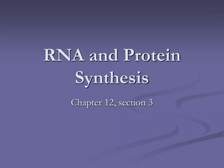 rna and protein synthesis