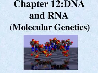 Chapter 12:DNA and RNA