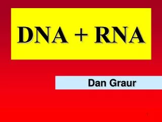 DNA + RNA