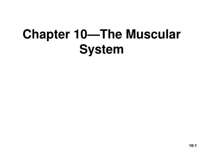 chapter 10 the muscular system