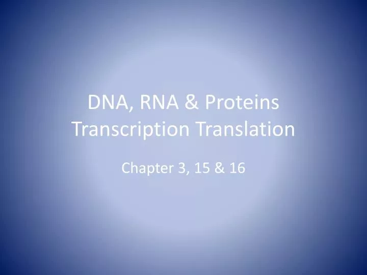 dna rna proteins transcription translation