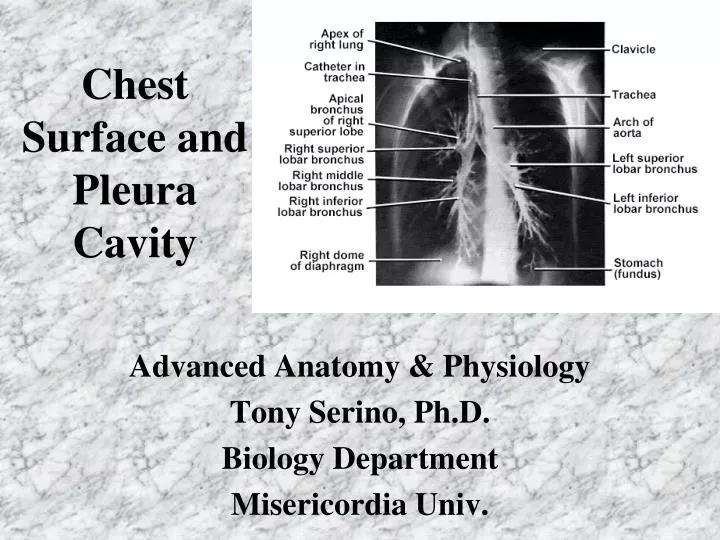 chest surface and pleura cavity