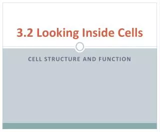 3.2 Looking Inside Cells