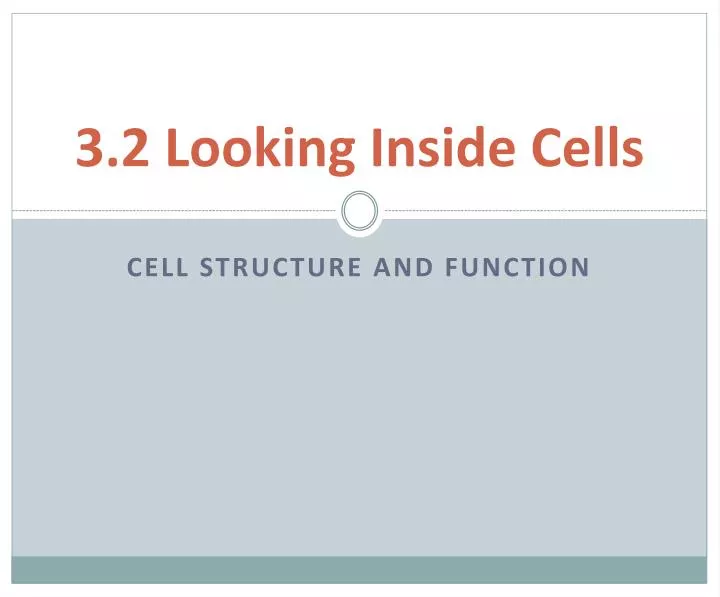 3 2 looking inside cells
