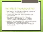 TamoSoft Throughput Test: Optimize Your Network Performance - slide 1