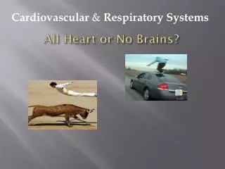 all heart or no brains