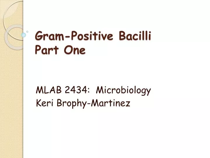 gram positive bacilli part one