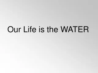 Our Life is the WATER